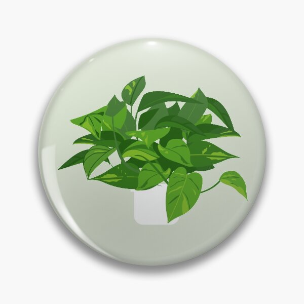 Item preview, Pathos plant designed and sold by JJWard.