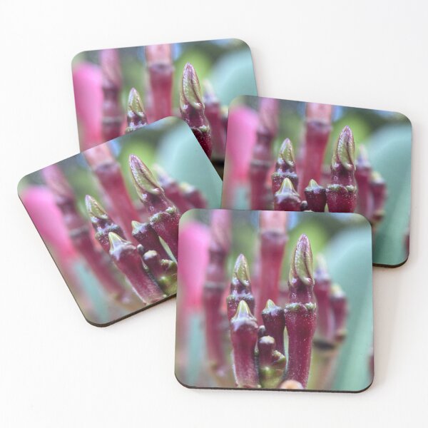 Item preview, Frangipani Flower Buds designed and sold by Sinemathk.
