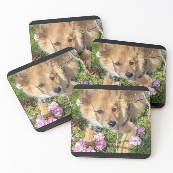 Item preview,  Pomeranian puppy Kai designed and sold by Fluffycat2020.