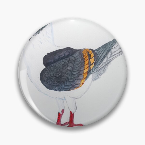 Item preview, Italian modena pigeon designed and sold by Ettore Anzalone.