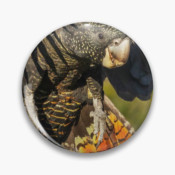 Item preview, Red tailed Black Cockatoo designed and sold by Susiepie.