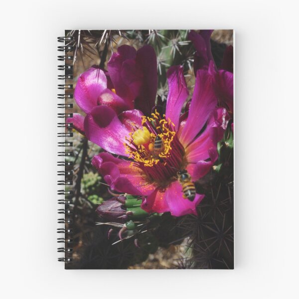 Item preview, Bee Cholla Cactus Bloom designed and sold by ptosis.