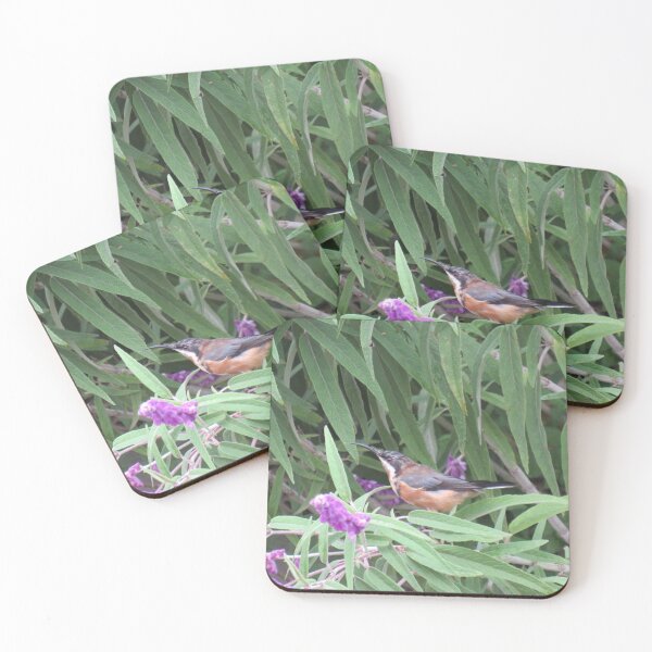 Item preview, Eastern spinebill in the bushes designed and sold by greentiger1.
