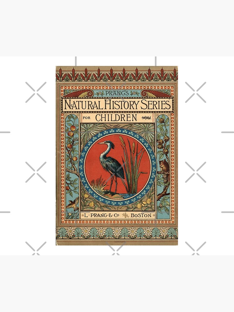 Art nouveau book cover. Prang's Natural History Series for