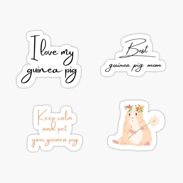 Guinea pig sticker pack Sticker