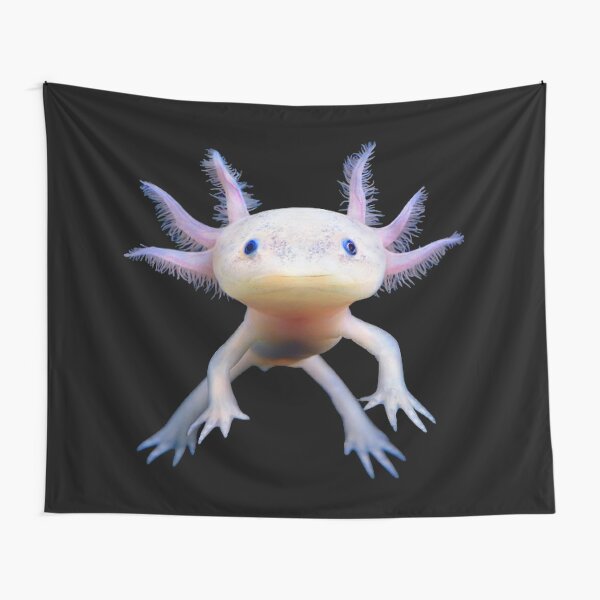 Minecraft Axolotl Tapestry By Variouslizards Redbubble