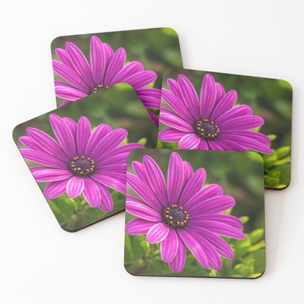 Item preview, Cape marguerite flower designed and sold by SHOPBLOB.