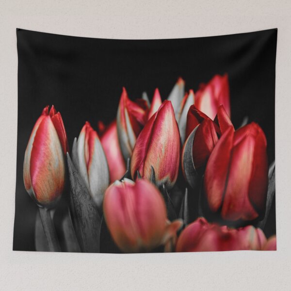 Item preview, Valentine Red and Black Tulips designed and sold by MisterSquid.