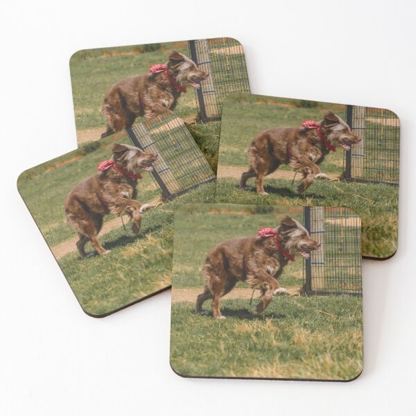 Item preview, Sheep Herding instinct trial April 24 designed and sold by Ivy Fox Illustration.