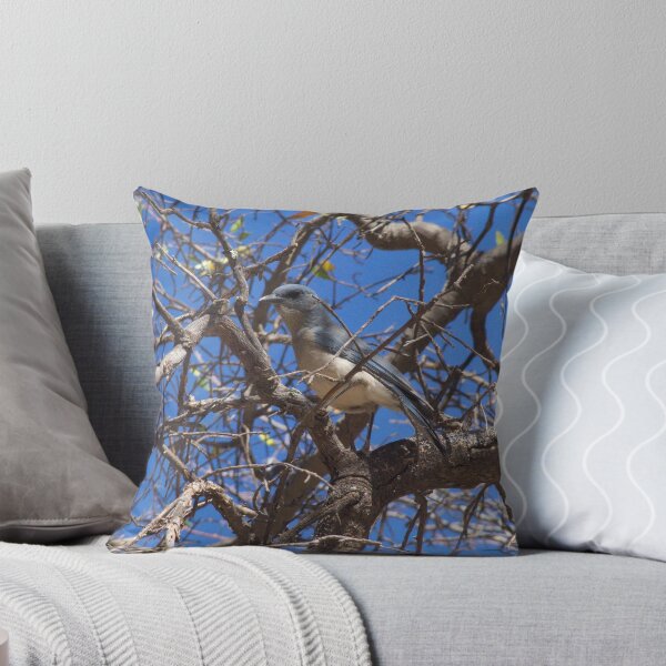 Item preview, Mexican Blue Jay designed and sold by ptosis.