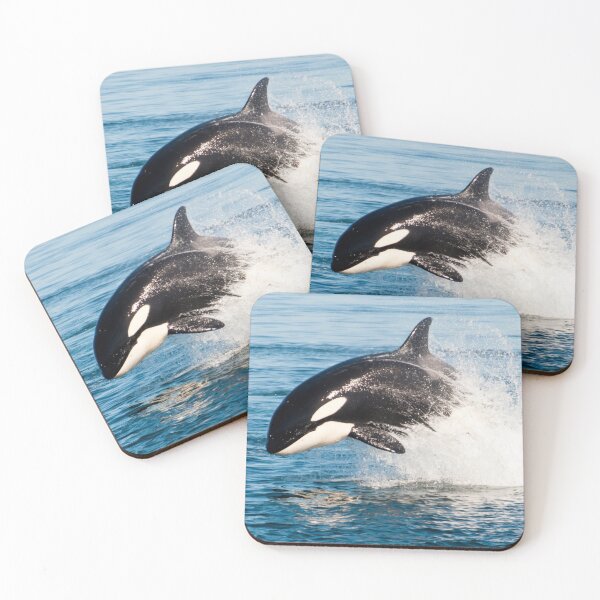 Item preview,  Killer whale, poster,Killer whale wall art,Killer whale art, ocean, sea, blue, fish,Killer whale metal wall art, nature, water, wave, waves designed and sold by eyesight4vision.