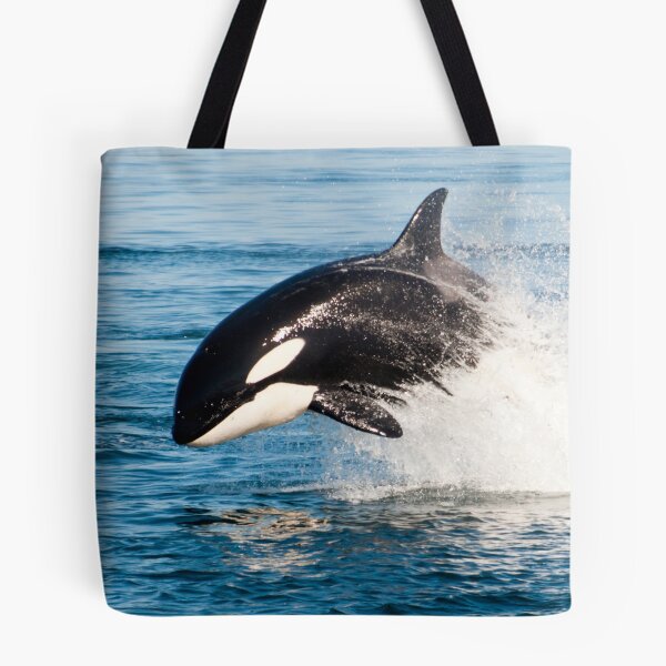 Item preview,  Killer whale, poster,Killer whale wall art,Killer whale art, ocean, sea, blue, fish,Killer whale metal wall art, nature, water, wave, waves designed and sold by eyesight4vision.