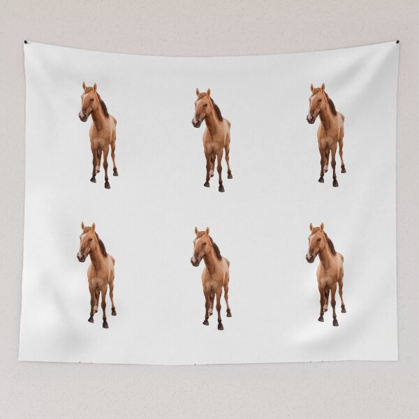 Item preview, Beautiful Brown Horse designed and sold by FilipeFerreira.