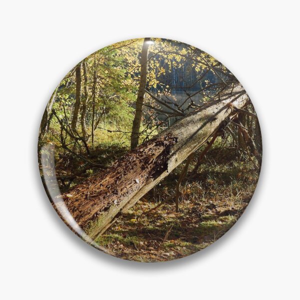 Item preview, The colors of  fall with ferns and yellow leaves designed and sold by Jouko Lehto Photography.