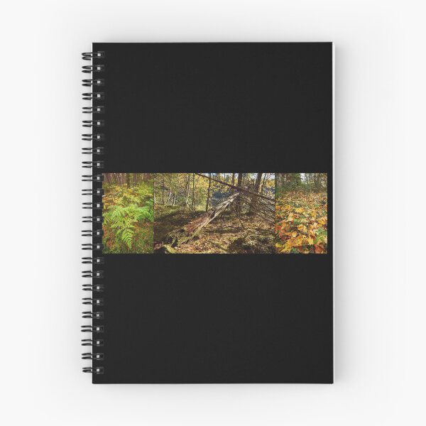 Item preview, The colors of  fall with ferns and yellow leaves designed and sold by Jouko Lehto Photography.