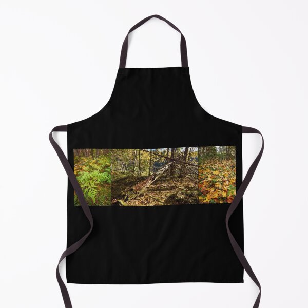 Item preview, The colors of fall with ferns and yellow leaves designed and sold by Jouko Lehto Photography.
