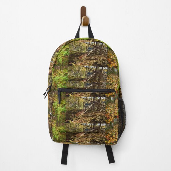 Item preview, The colors of fall with ferns and yellow leaves designed and sold by Jouko Lehto Photography.