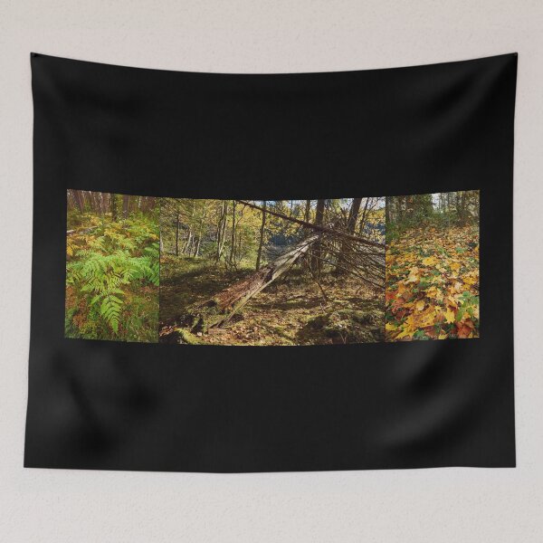 Item preview, The colors of  fall with ferns and yellow leaves designed and sold by Jouko Lehto Photography.