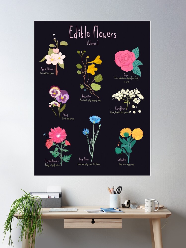 AMV BBDO and Rob Flowers' edible posters for the Museum of Childhood