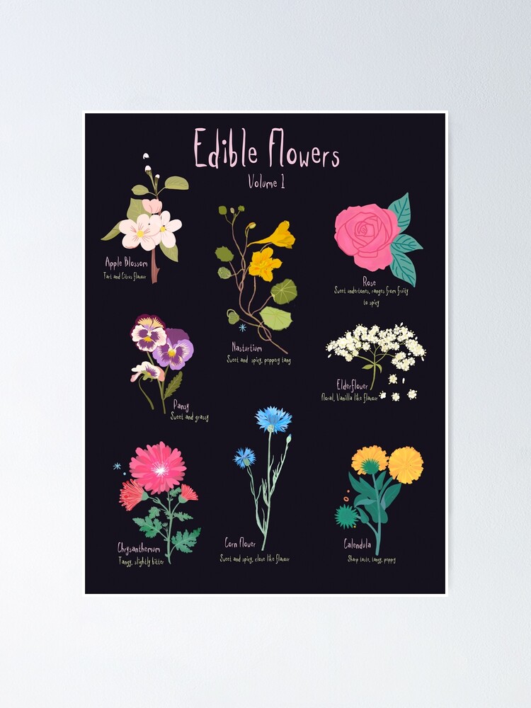 Póster «Flores comestibles, volumen 1» de Elisandra | Redbubble