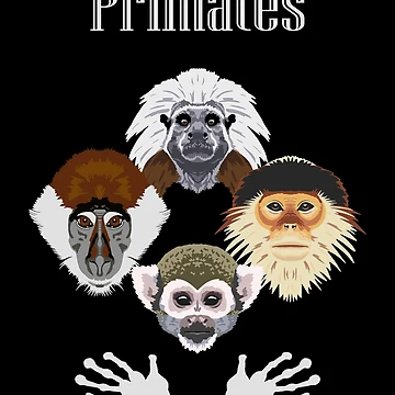 Artwork thumbnail, Primates by GeoCreate