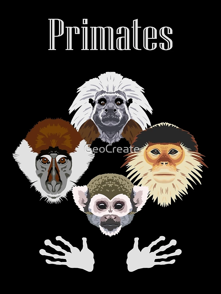 Thumbnail 3 of 3, Scarf, Primates designed and sold by GeoCreate.