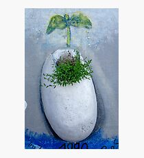 East Side Gallery Photographic Print