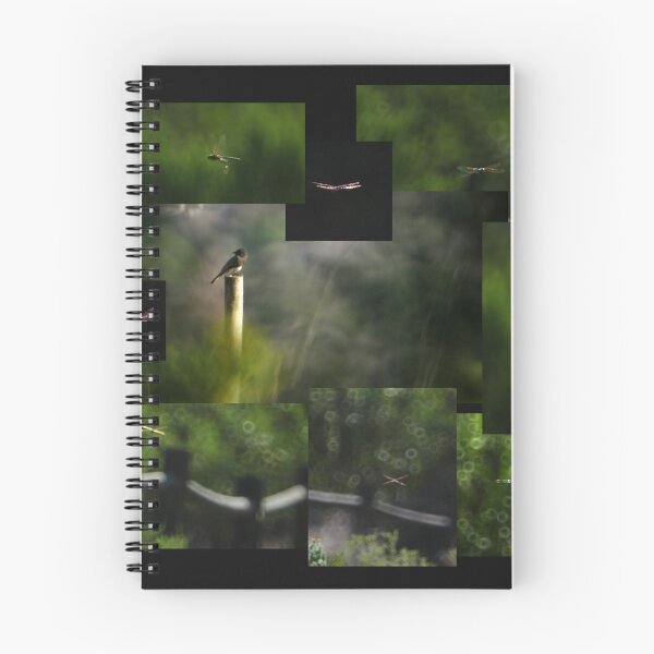 Item preview.