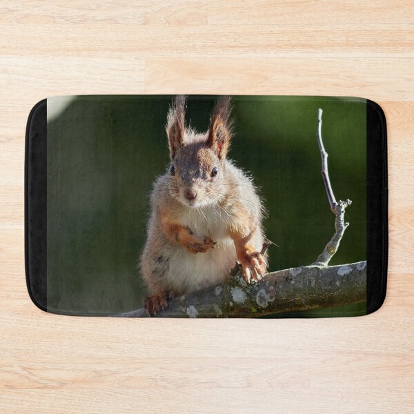 Item preview, Yeah that's me. Eurasian red squirrel designed and sold by Jouko Lehto Photography.