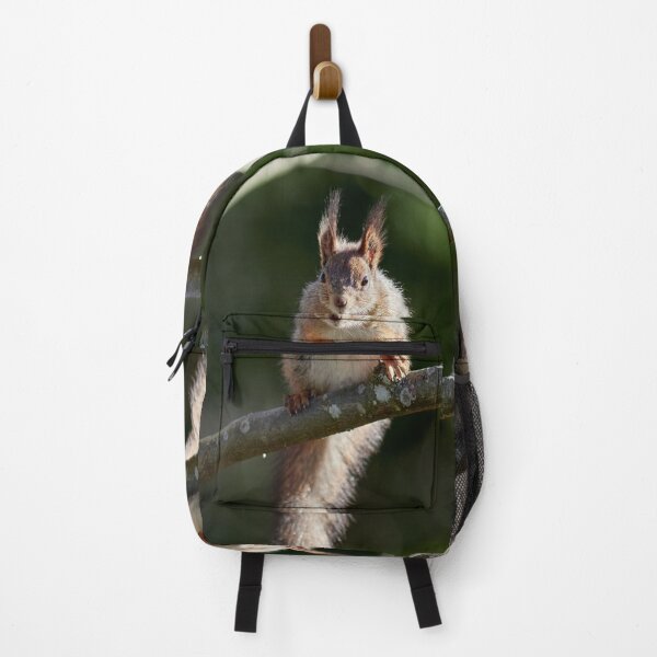 Item preview, Yeah that's me. Eurasian red squirrel designed and sold by Jouko Lehto Photography.