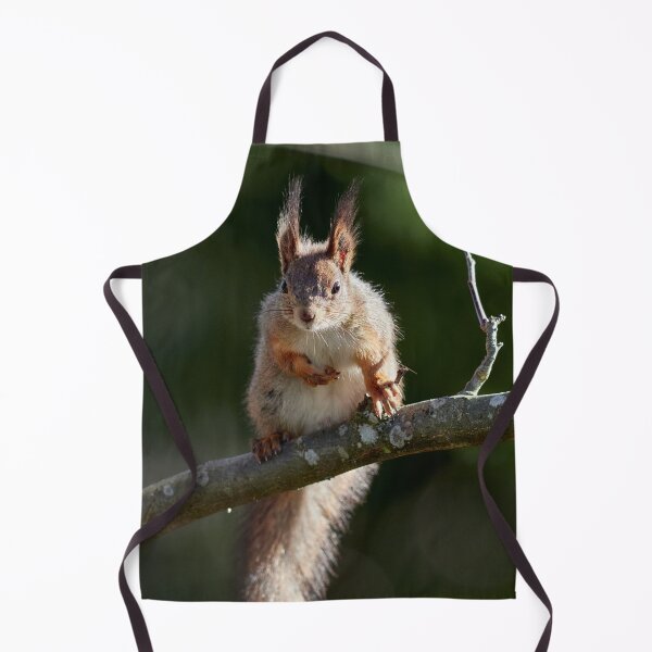 Item preview, Yeah that's me. Eurasian red squirrel designed and sold by Jouko Lehto Photography.