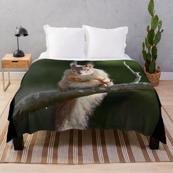 Item preview, Yeah that's me. Eurasian red squirrel designed and sold by Jouko Lehto Photography.