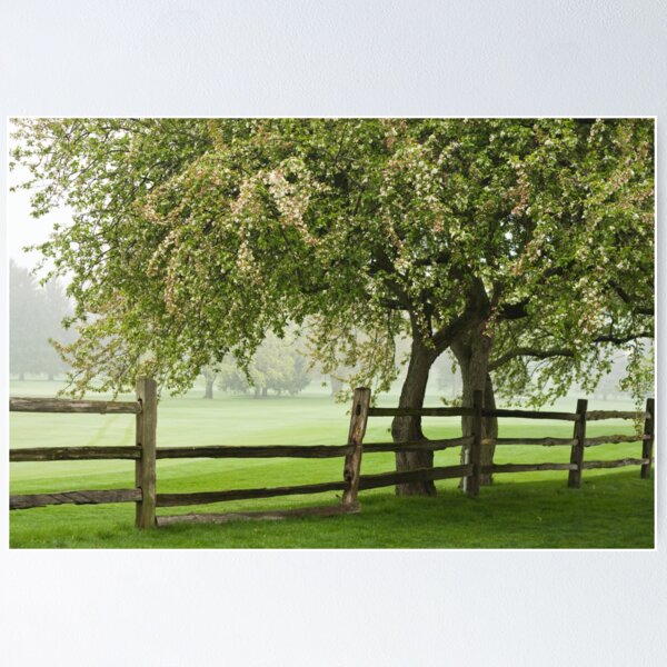 Item preview, The rainy spring day designed and sold by Maryna Gumenyuk.