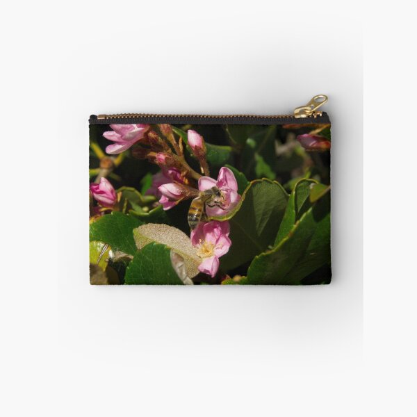 Item preview, Indian hawthorn designed and sold by ptosis.