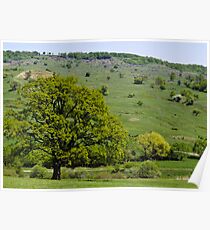 Landscape Poster
