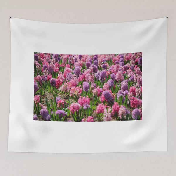Item preview, Hyacinth Colorful Flowerbed designed and sold by Cynthia48.