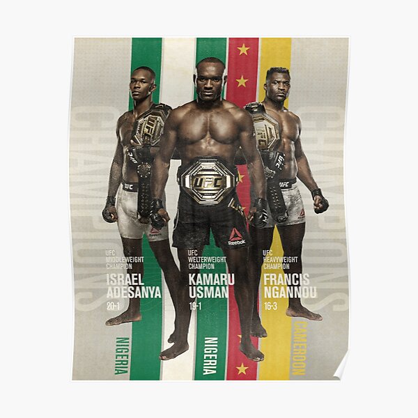 Amazing fighters Poster