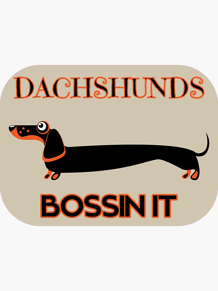 dachshunds bossin it dog lovers pets furbabies by toastygoat