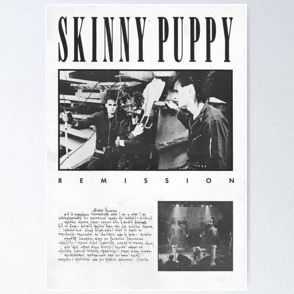 The story and meaning of the song 'Smothered Hope - Skinny Puppy 