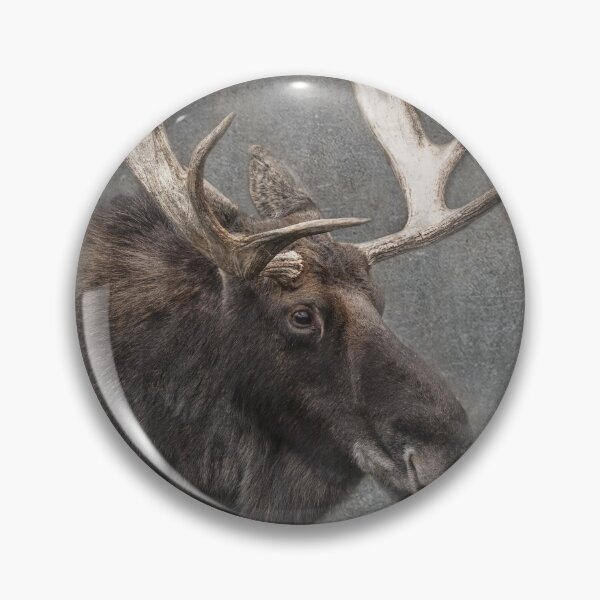 Item preview, Moose Head designed and sold by david parry.
