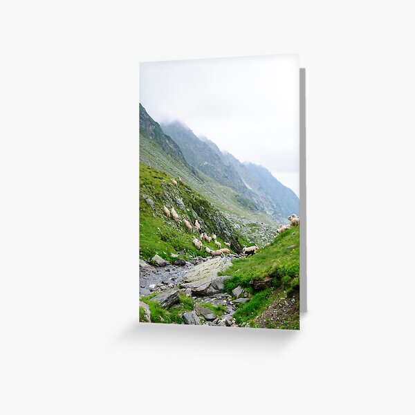 Item preview, Sheep running on high mountain area of Transfagarasan, Romania designed and sold by Stanciuc.