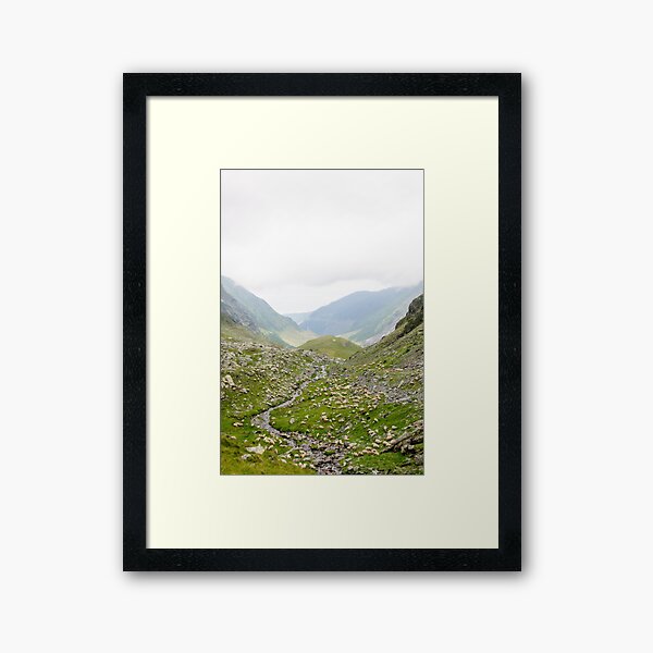 Item preview, Sheep on high mountain area of Transfagarasan, Romania designed and sold by Stanciuc.