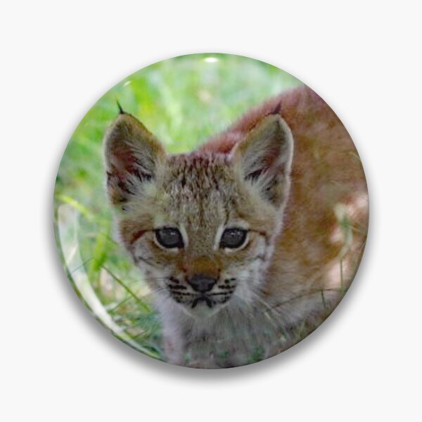 Item preview, A Beautiful Lynx Kitten designed and sold by Karen Thomson.