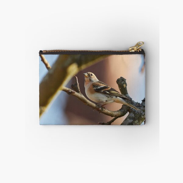 Item preview, Brambling stopped designed and sold by Jouko Lehto Photography.