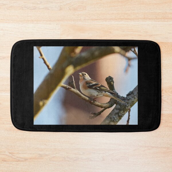 Item preview, Brambling stopped designed and sold by Jouko Lehto Photography.