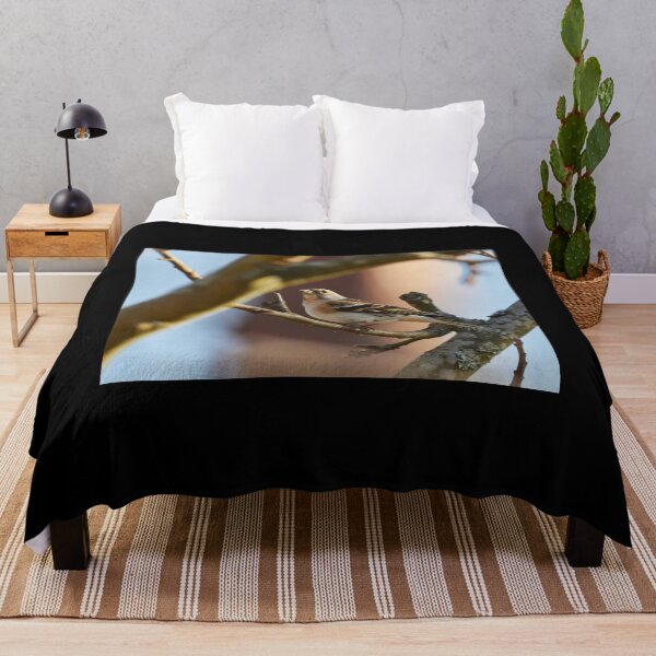 Item preview, Brambling stopped designed and sold by Jouko Lehto Photography.
