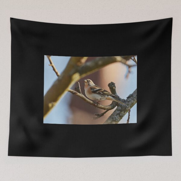 Item preview, Brambling stopped designed and sold by Jouko Lehto Photography.