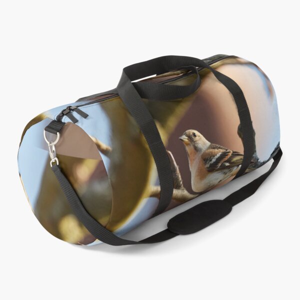 Item preview, Brambling stopped designed and sold by Jouko Lehto Photography.