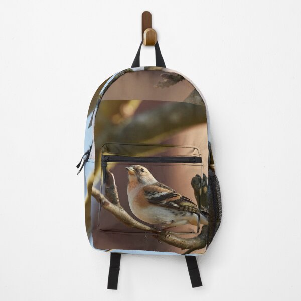 Item preview, Brambling stopped designed and sold by Jouko Lehto Photography.