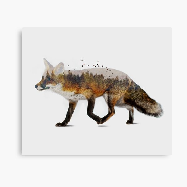 Red Fox Canvas Print